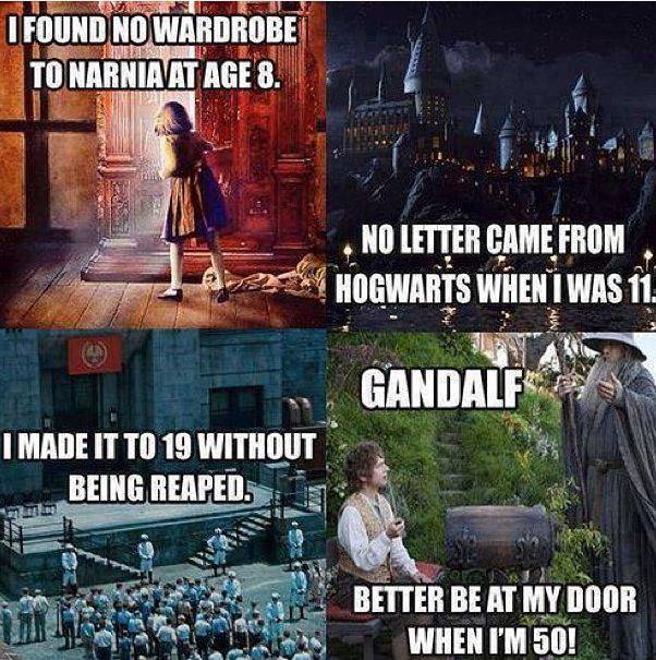 Herr Der Ringe Harry Potter Meme Harry Potter | Teenfictionbooks