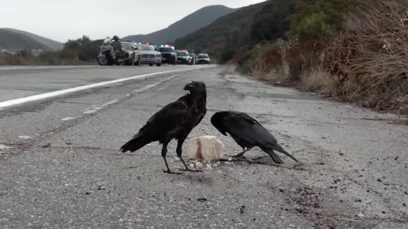 15 Things You Completely Missed In Sons Of Anarchy
