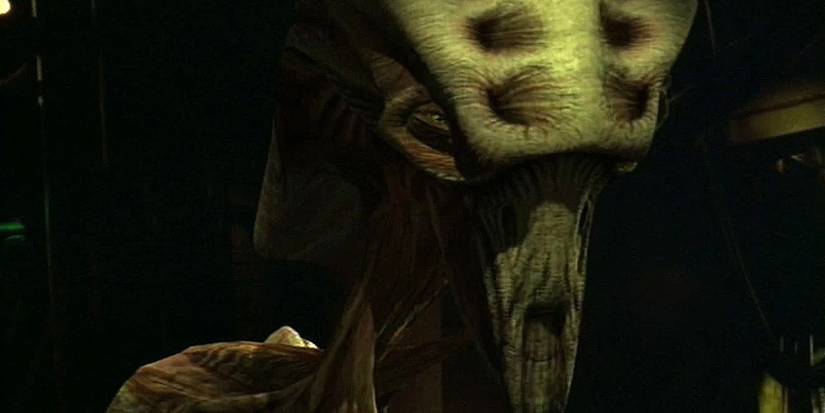 10 New Aliens Star Trek: Voyager Introduced Ranked
