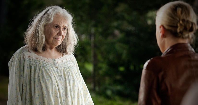 15 Things You Completely Missed In True Blood