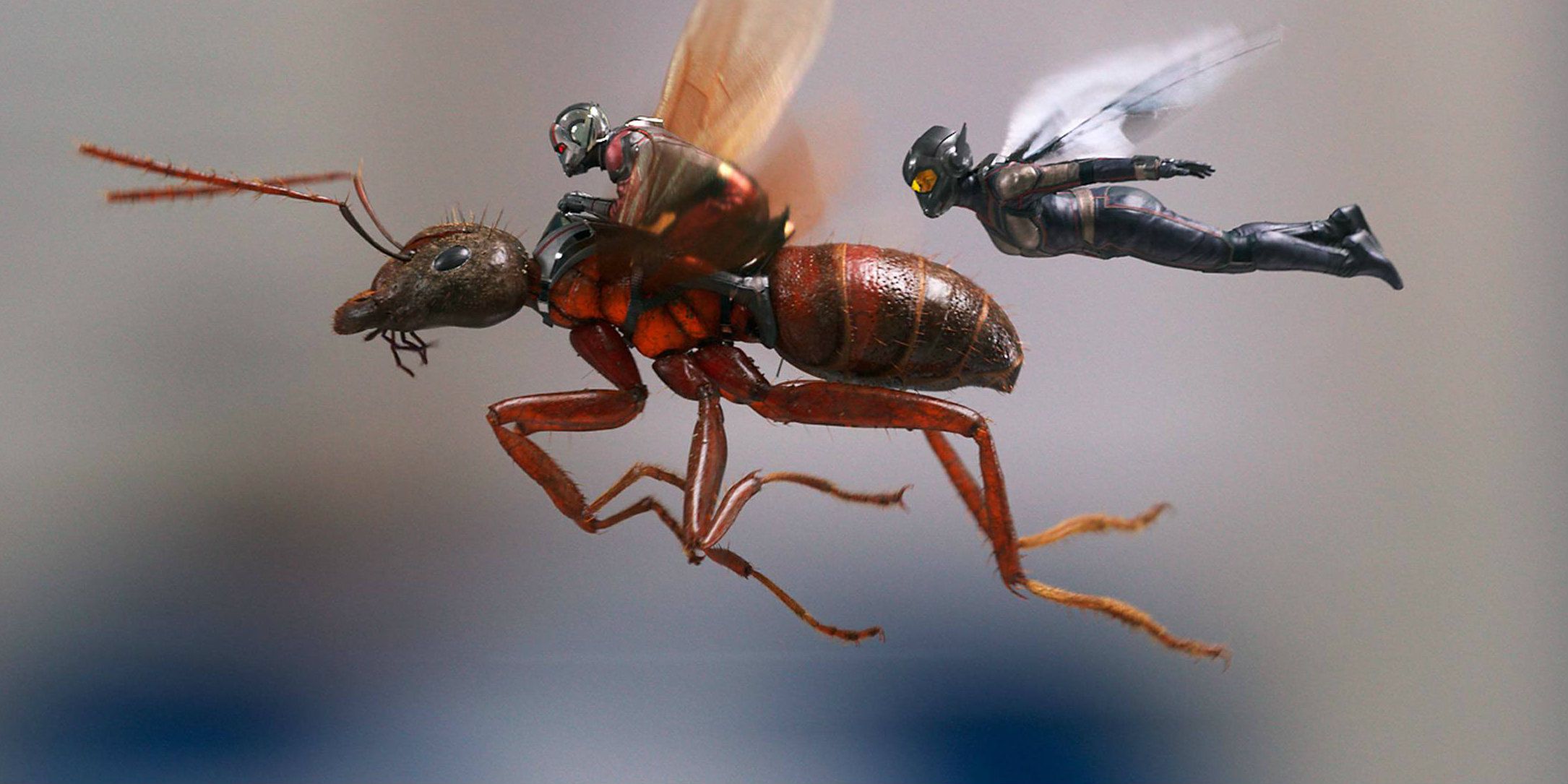 Ant-Man and the Wasp Gets New Story Details & Images