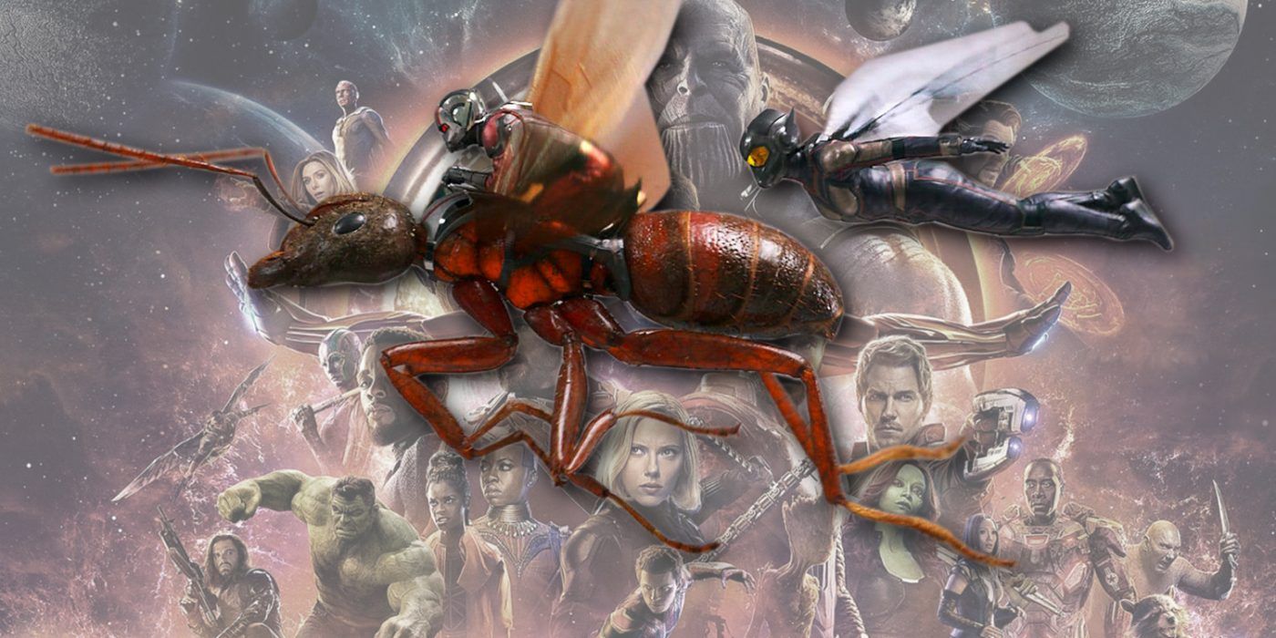 Ant-Man and the Wasp and Avengers Infinity War