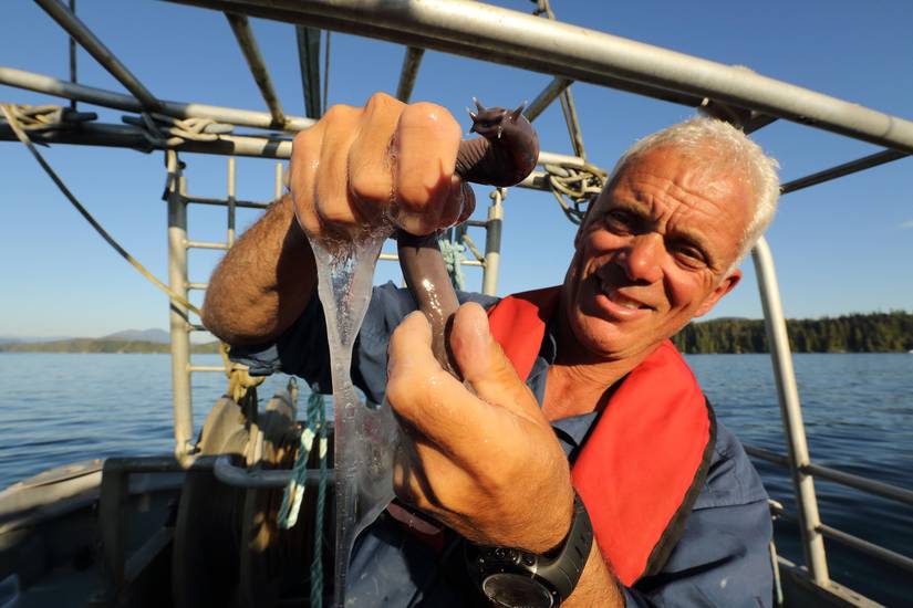15 Behind-The-Scenes Secrets About River Monsters