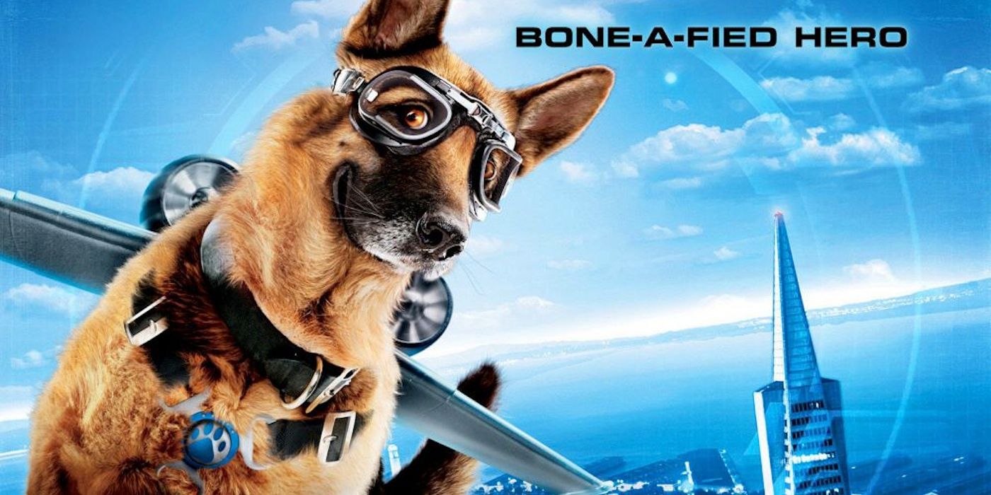 catsdogs2.jpg?q=50&fit=crop&w=737&h=368&dpr=1