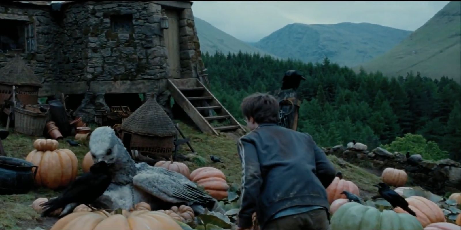 Harry Potter outside of Hagrid's hut in Harry Potter and the Prisoner of Azkaban.