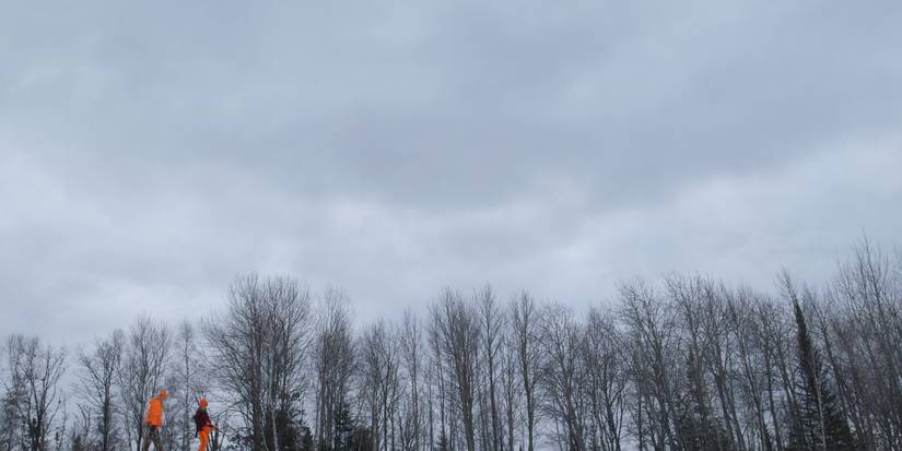Cold November Movie Review