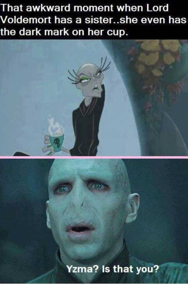 Harry Potter: 25 Memes That Show That Voldemort Makes No Sense