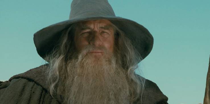 Ian McKellan as Gandalf in The Lord of the Rings
