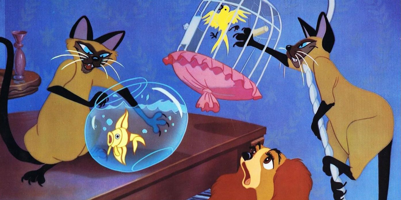 10 Things You Didnt Know About LiveAction Lady And The Tramp