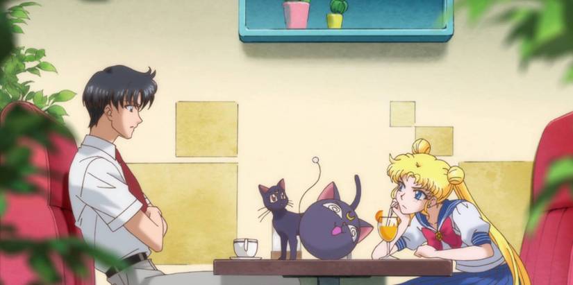 Mamoru Usagi and Luna With Luna-P