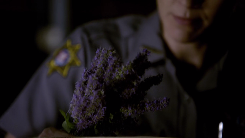 Vervain Rapper Vampire Diaries: 25 Things That Make No Sense About Damon Salvatore