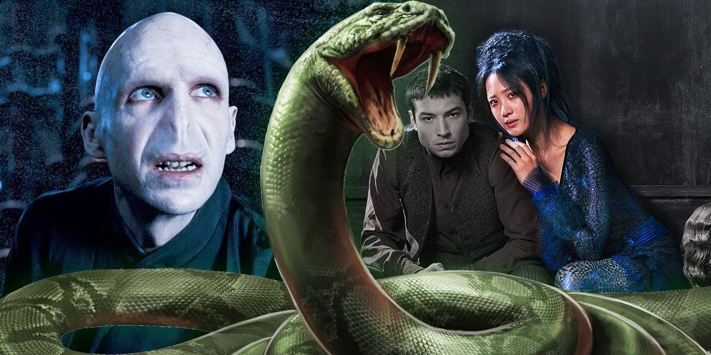 Harry Potter 10 Characters Voldemort Was Close With (And 10 He Couldnt Stand)