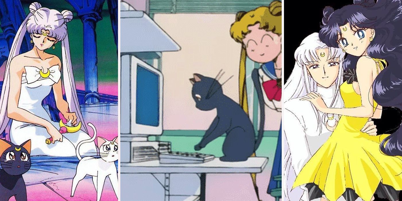 Sailor Moon 21 Things About Artemis And Luna That Make No Sense