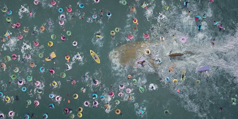 The Meg Movie Review