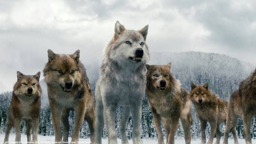 Twilight: 20 Wild Things That Happen In Forever Dawn