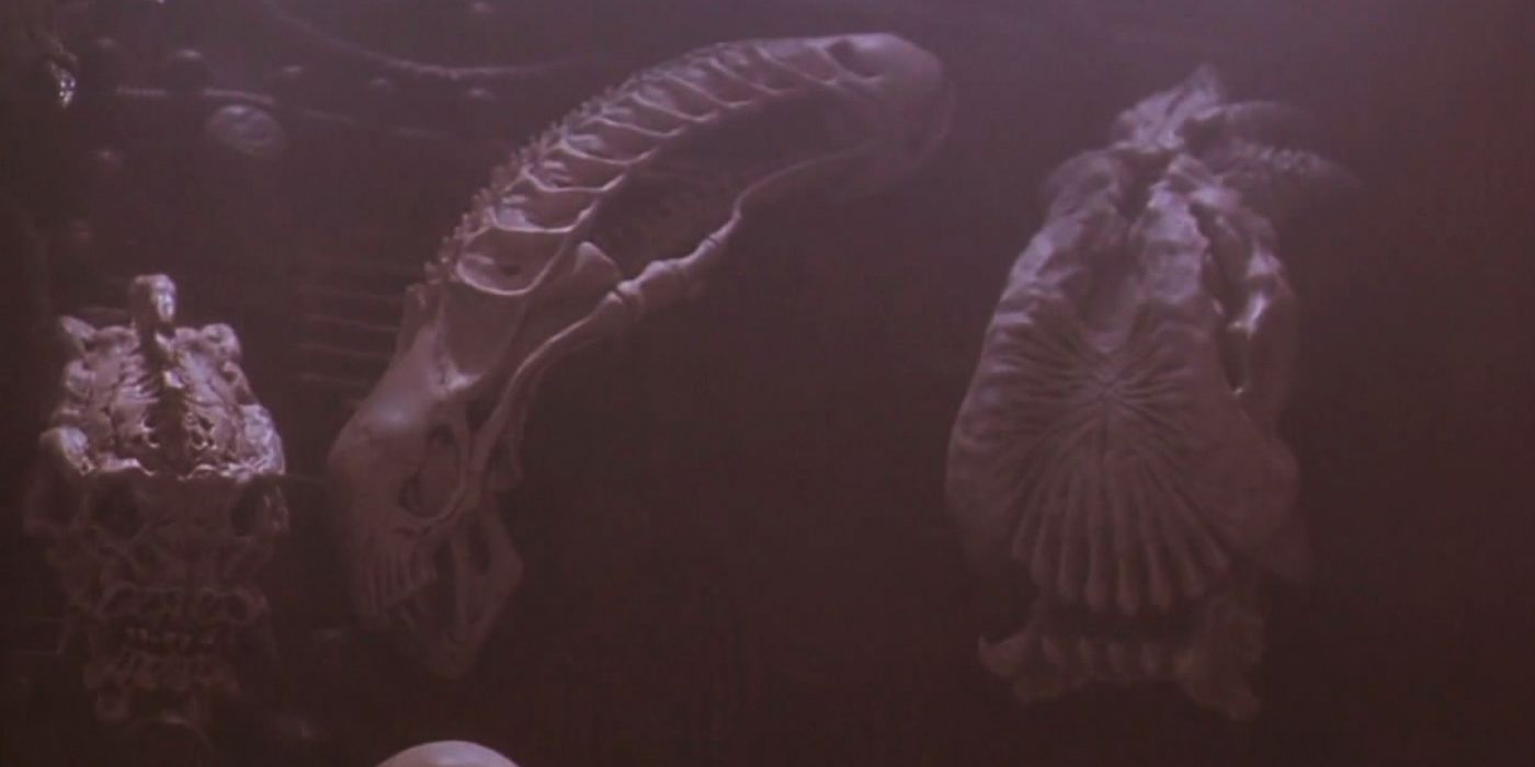 Predator: How Does The Yautja's Cloaking Device Actually Work ...