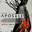 Apostle