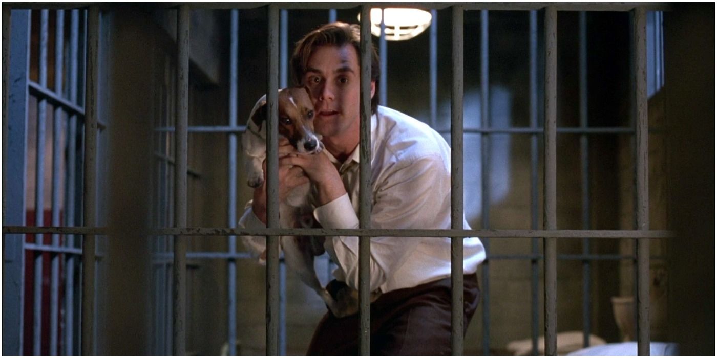 The 10 Best Companion Dogs In Movies