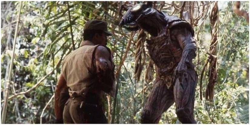 20 Strange Details About The Predator’s Anatomy