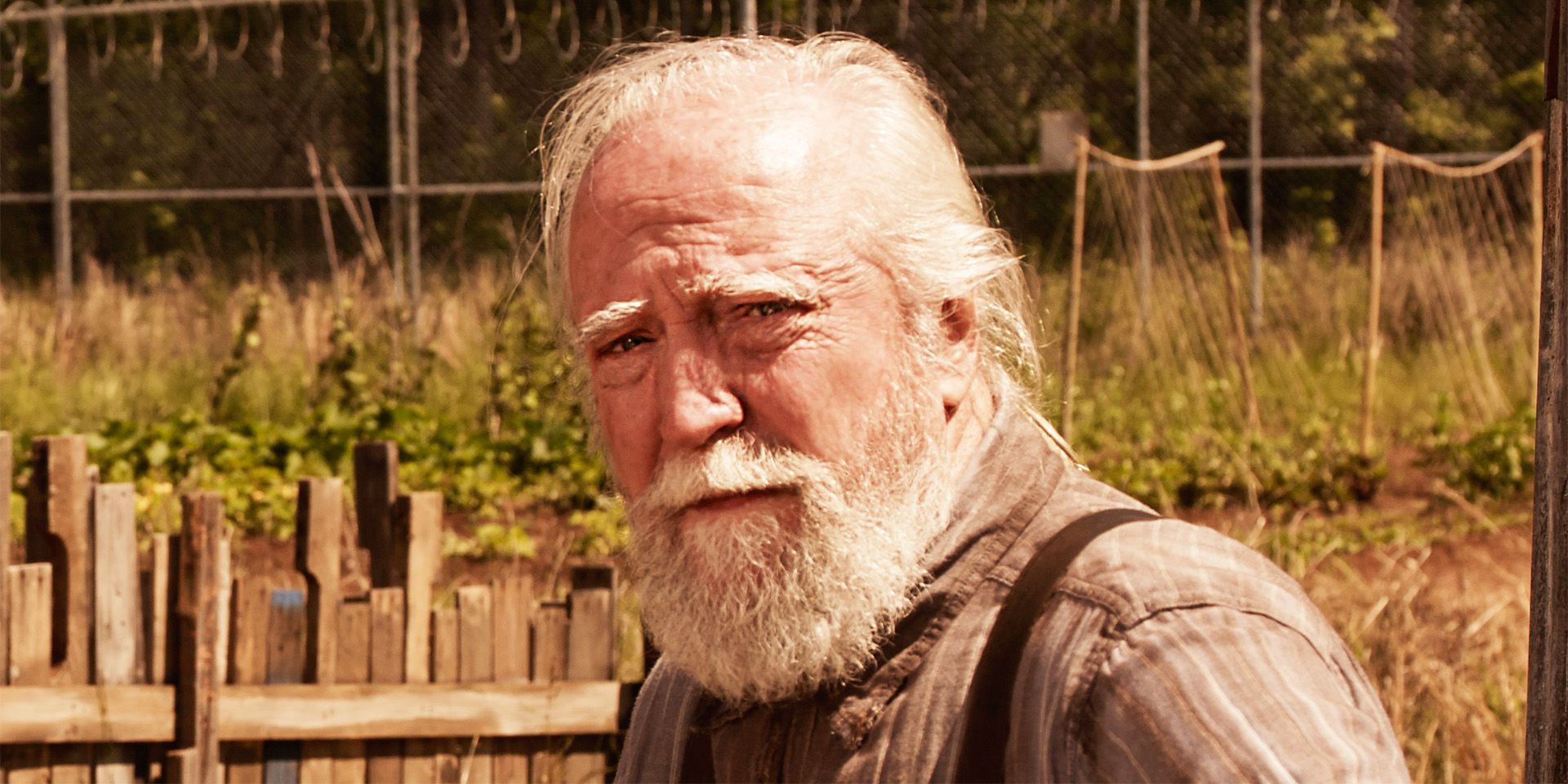 Scott Wilson as Hershel Greene on The Walking Dead