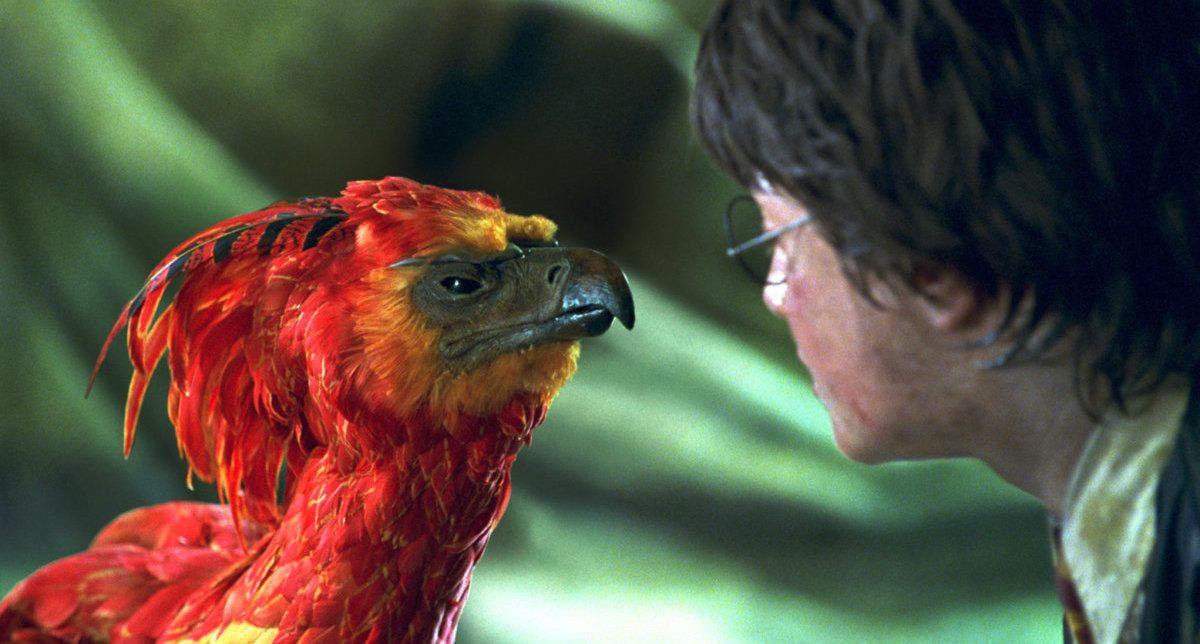 Harry Potter and Fawkes