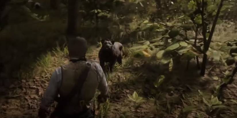 Red Dead Redemption 2 Legendary Animal Locations & Requirements
