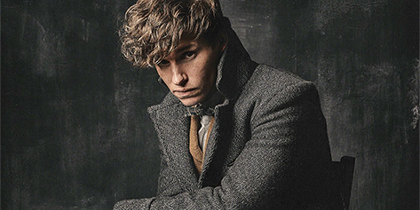 newt scamander fantastic beasts and where to find them