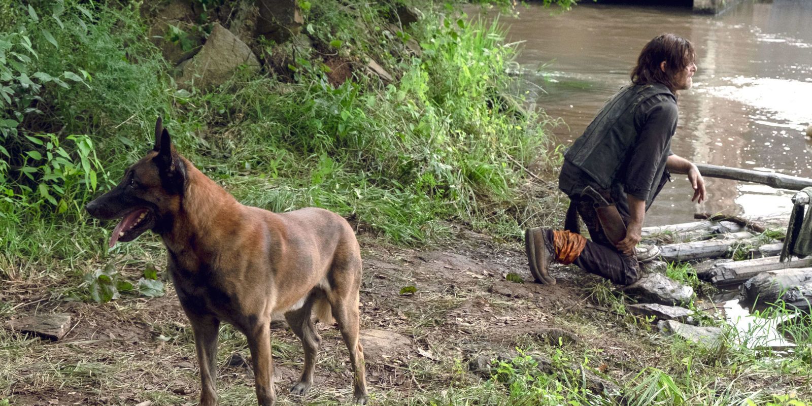 Walking Dead Fan Petition Begs Producers Not to Kill Daryls Dog