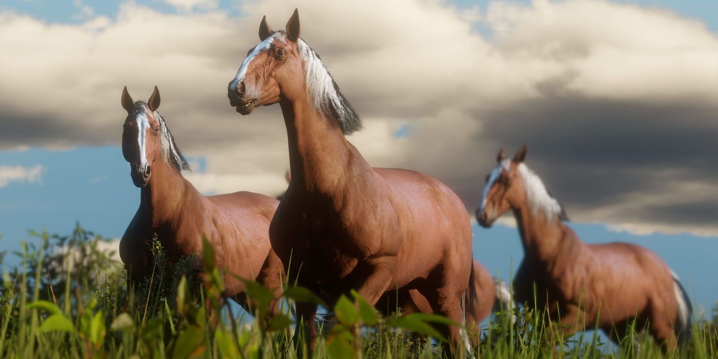 5 Ways Red Dead Redemption 3 Can Have More Incredible Horses Than RDR2