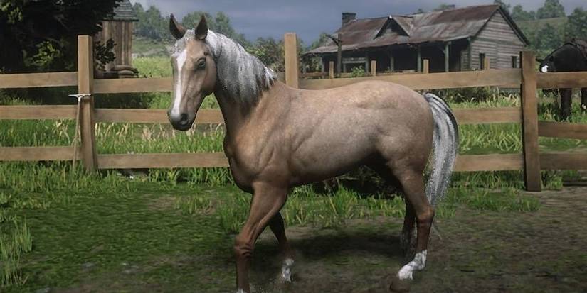 All 19 Red Dead Redemption 2 Horses, Ranked From Worst To Best