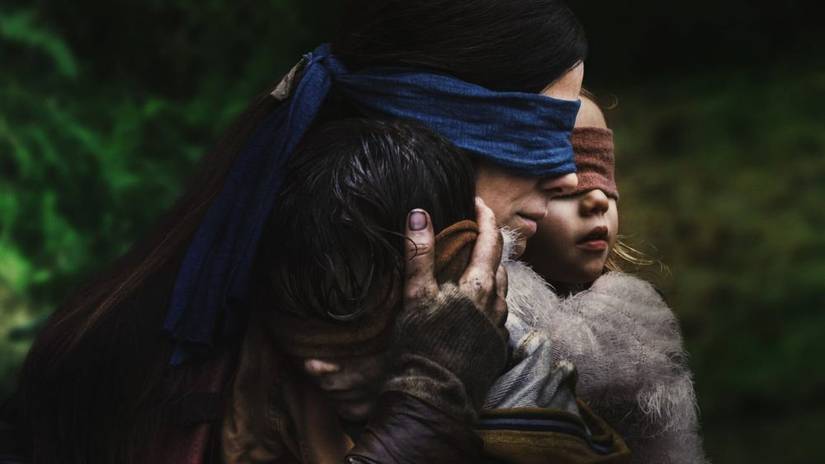Bird Box: 5 Things They Changed From The Books, And 5 Things They Kept