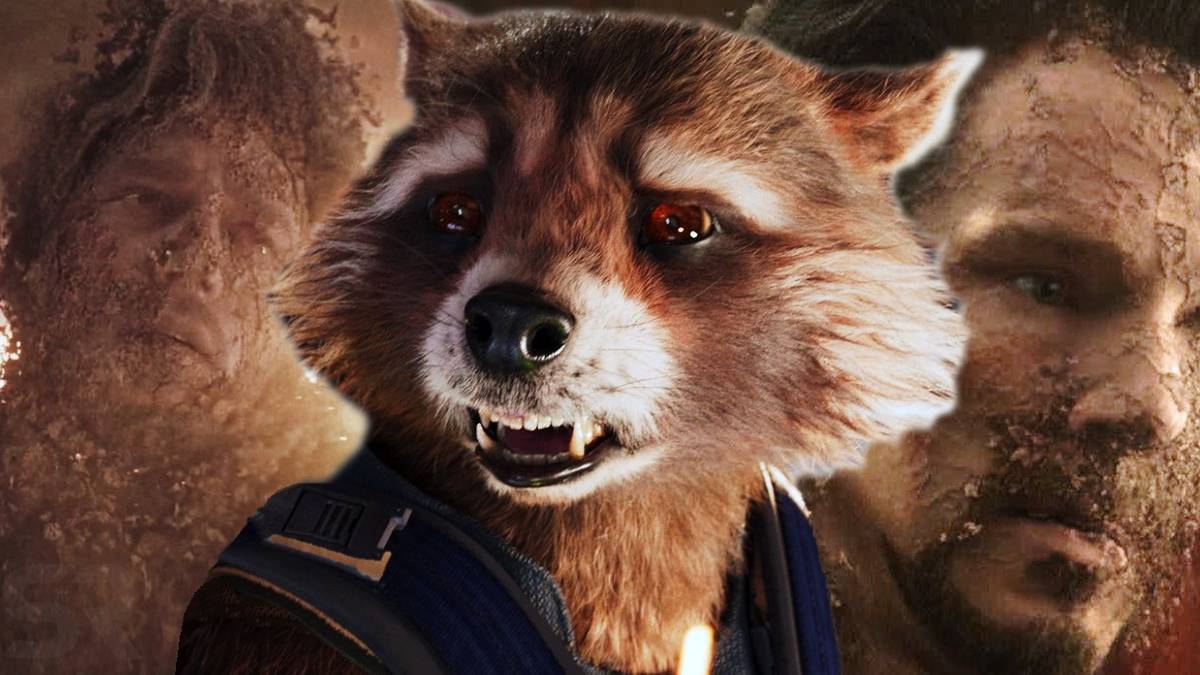 Will Rocket Raccoon Take The Blame For Infinity War?
