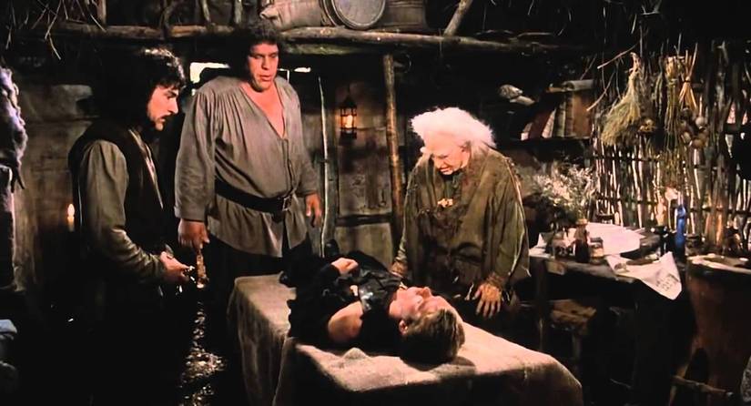 20 Hidden Things Fans Completely Missed In The Princess Bride