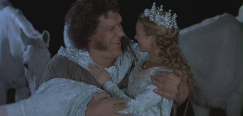 20 Hidden Things Fans Completely Missed In The Princess Bride