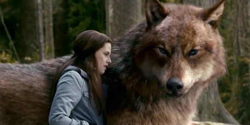 Twilight: Jacob's 10 Most Cringeworthy Quotes