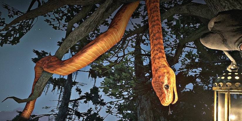 25 Hidden Things Only Pros Knew About Red Dead Redemption 2