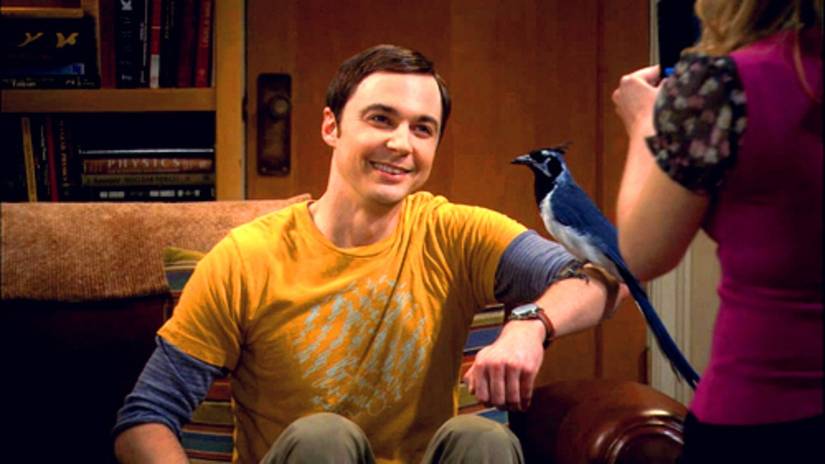 The Big Bang Theory: 10 Of Sheldon’s Best Meltdowns