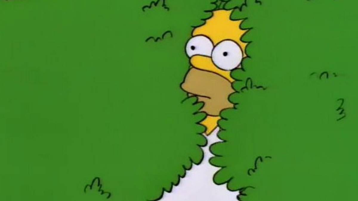 Watch: The Simpsons Uses The Homer Bush Meme GIF
