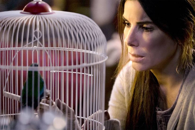 Bird Box: 5 Things They Changed From The Books, And 5 Things They Kept
