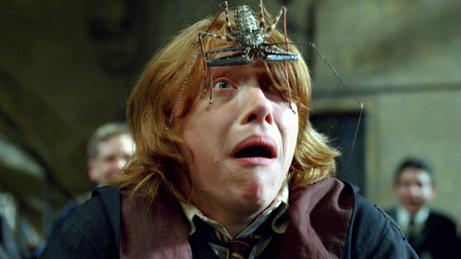 Harry Potter: 25 Things Wrong With Ron Weasley We All Choose To Ignore