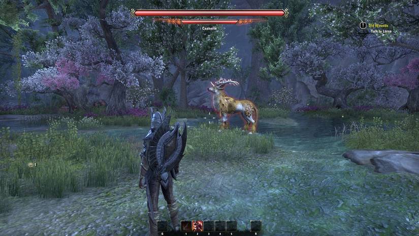 Elder-Scrolls-Online-Summerset-Shot-2