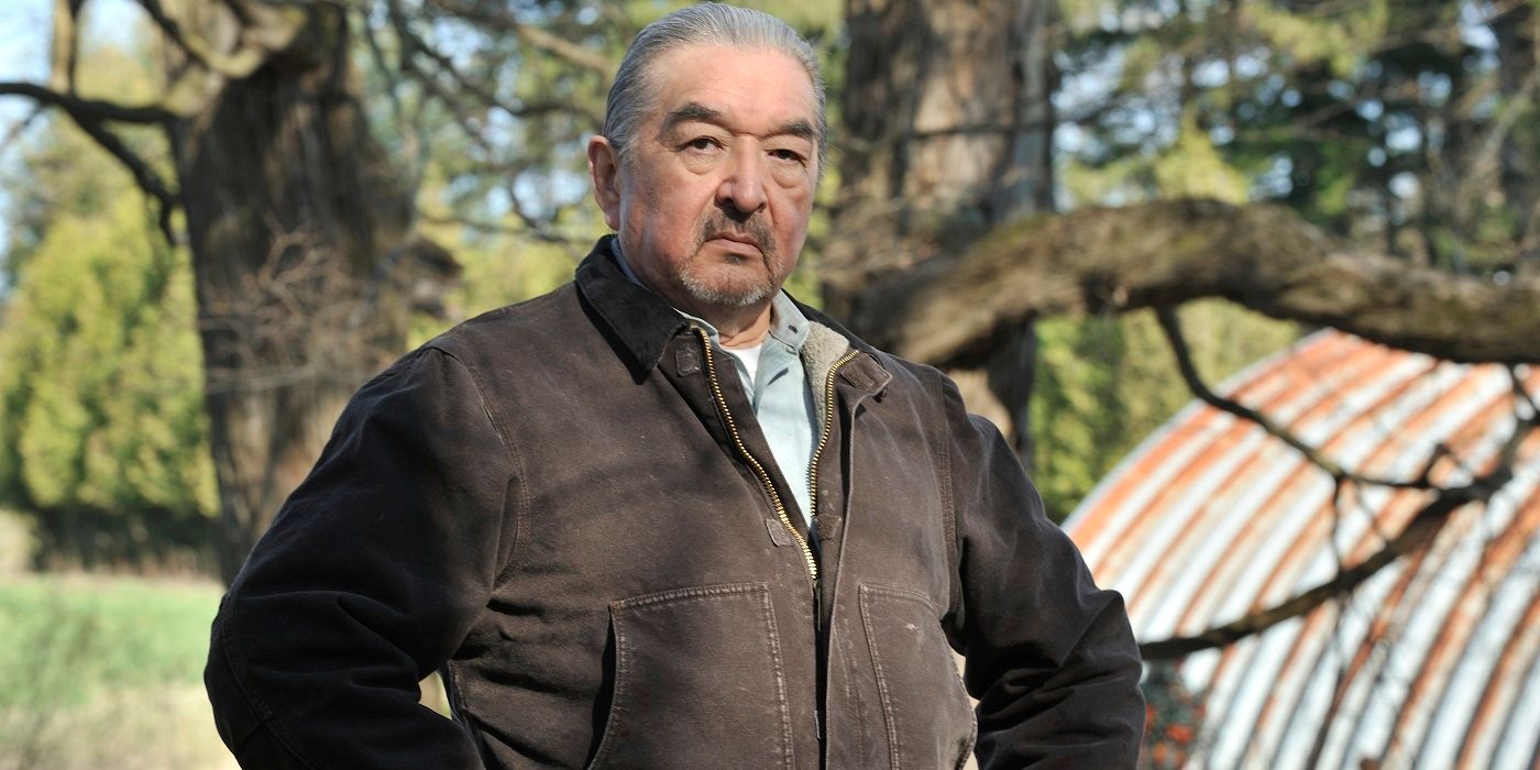 Graham Greene, Dances With Wolves Star, Dies At 73