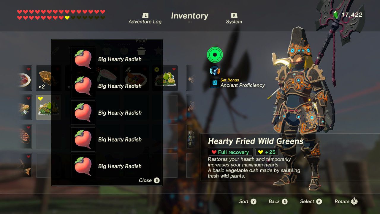 how do to get more hearts in breath of the wild