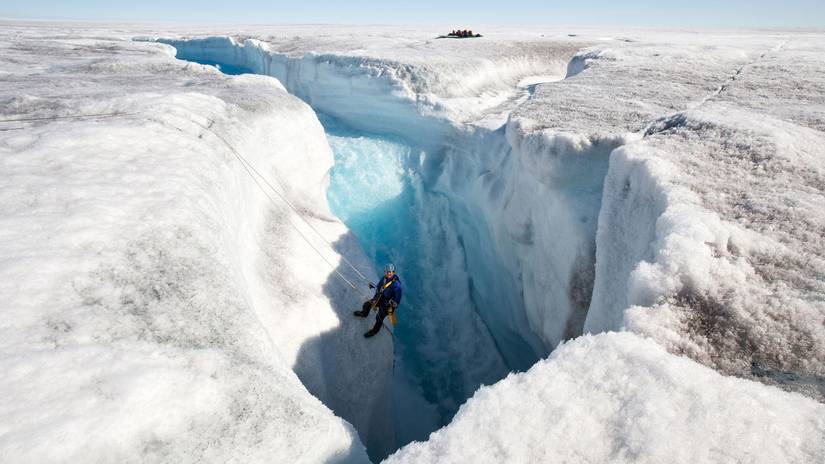 10 Of Netflix's Best Nature Documentaries