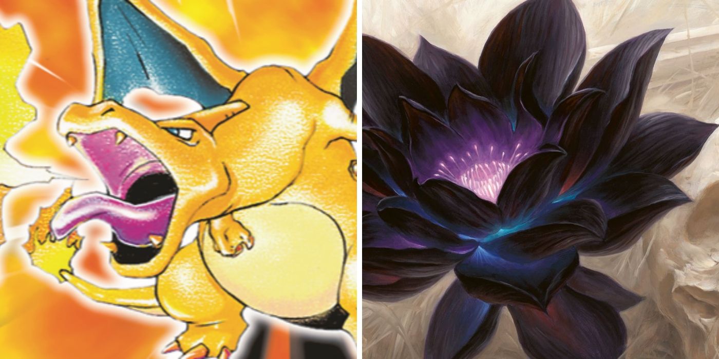 Pokemon & Magic The Gathering Cards Raise Almost $300000 At Auction