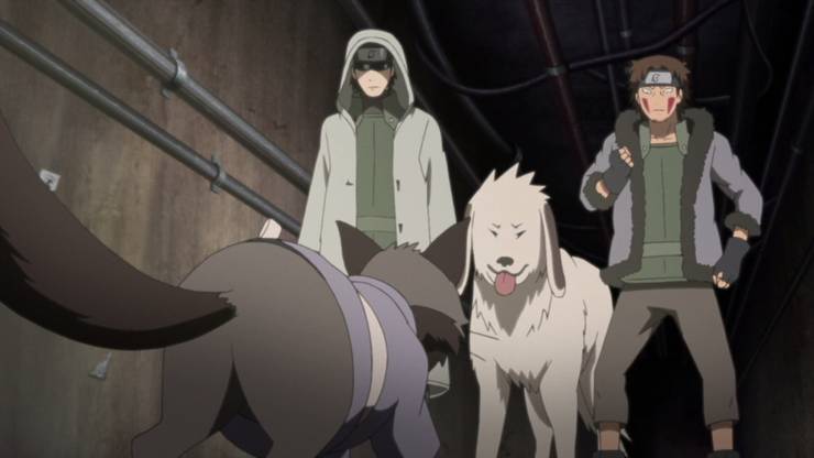 Download Boruto 10 Things Fans Don T Know About Kiba Screenrant Desktop Wallpaper Wallpaper Boruto 10 Things Fans Don T Know About Kiba Screenrant For iPhone