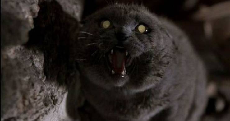 5 Differences And 5 Similarities About Pet Sematary S Church The