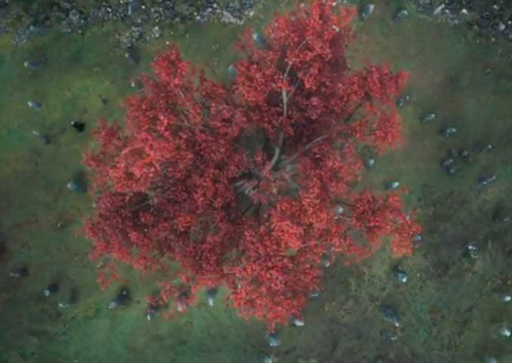 Game of Thrones - Weirwood Tree Spiral