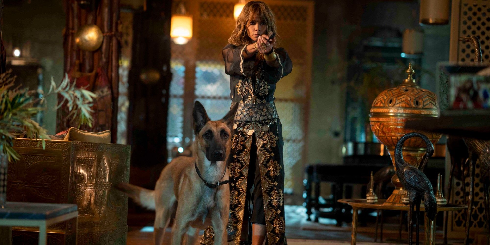 Halle Berry confirma el estado de la escisión de John Wick en medio de la expansión de la franquicia