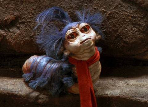 Worm looking up in Labyrinth